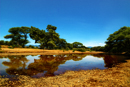 Seasonal river in Baringo